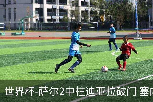 世界杯-萨尔2中柱迪亚拉破门 塞内加尔半场暂1-0比利时