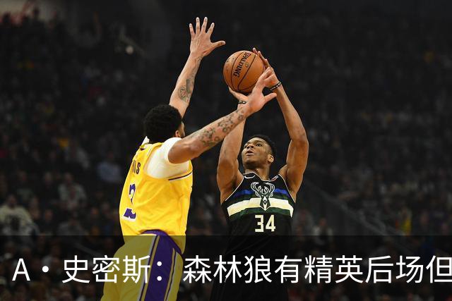 A·史密斯：森林狼有精英后场但体型变小 难应对雷霆马刺火箭掘金